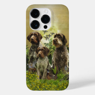 Ponteiro alemão Wirehaired