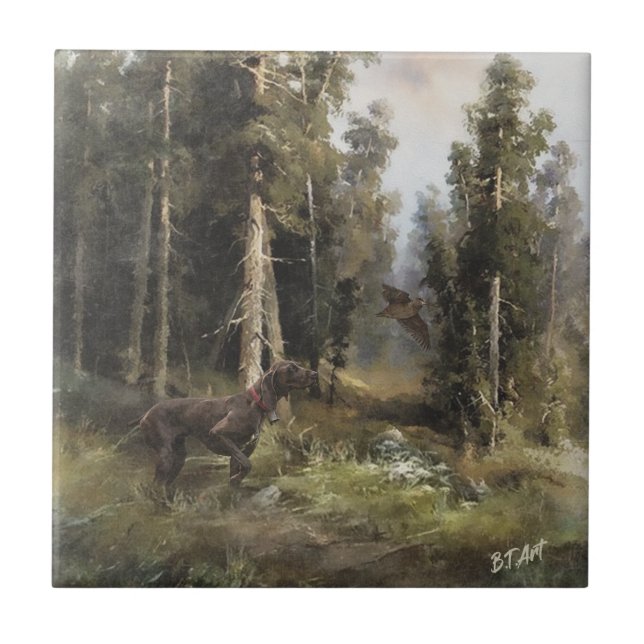 Ponteiro curto alemão (Frente)