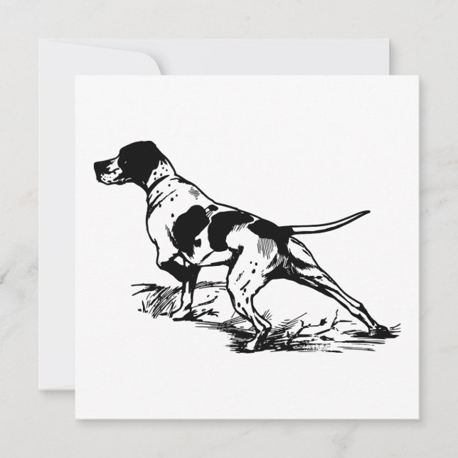 Ponteiro Inglês (Frente)