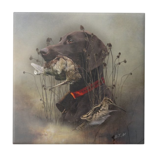 Ponteiros abreviados alemães (Frente)