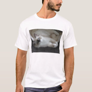 Ponto do selo & camisa Siberian branca do gatinho