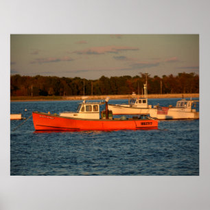 Ponto Maine 24" do pinho x 18", poster