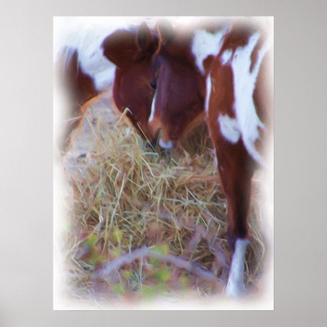 Pony Poster (Frente)