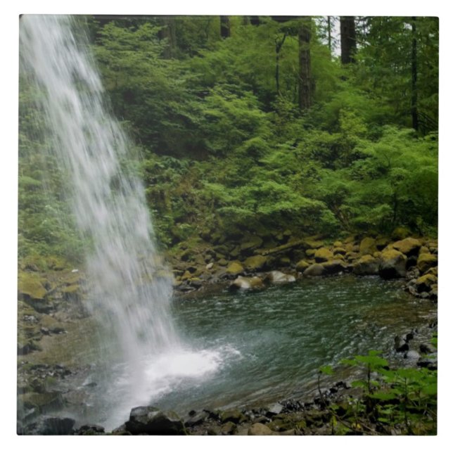 Ponytail Falls, OU (Frente)