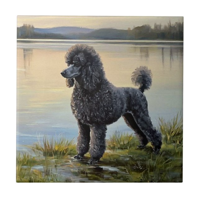 Poodle (Frente)