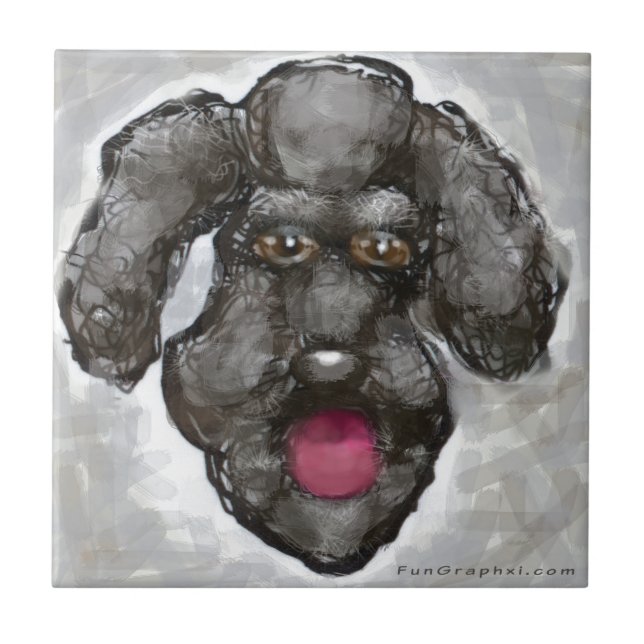 Poodle (Frente)