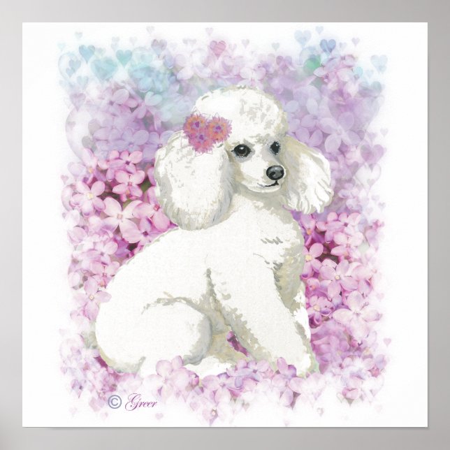 Poodle branca em Lilacs Poster Impressão (Frente)