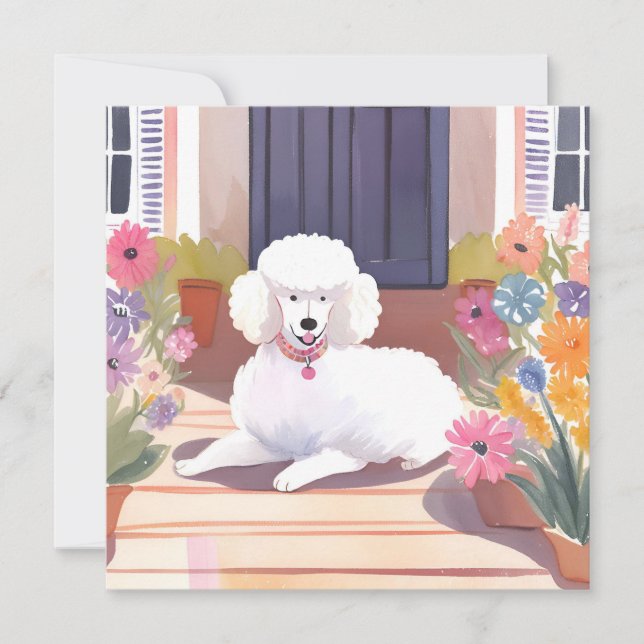 Poodle Branco | Cartão de Flores de Aquarela de Ca (Frente)