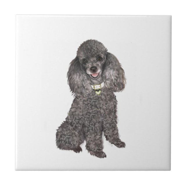 Poodle - Brinquedo /Miniatura Prata (Frente)