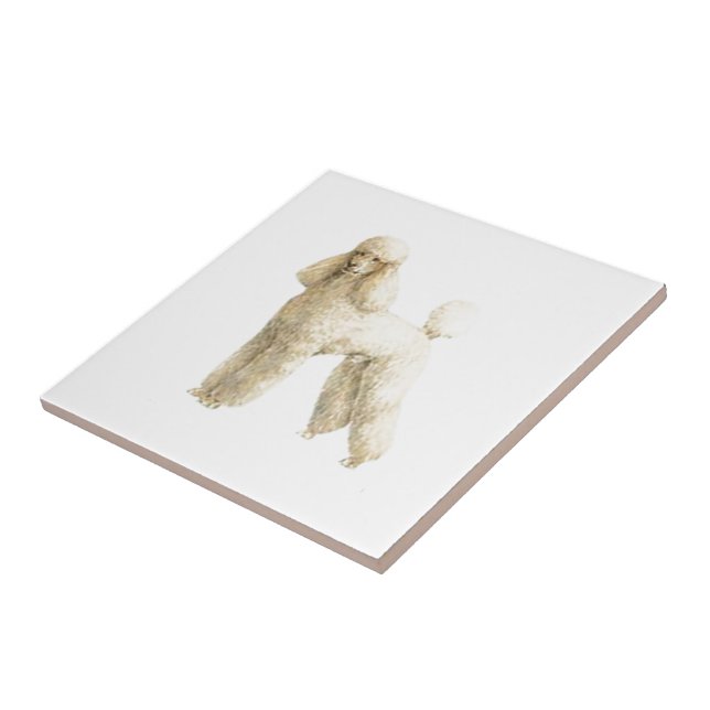 Poodle - Clipe De Cãozinho (Lateral)