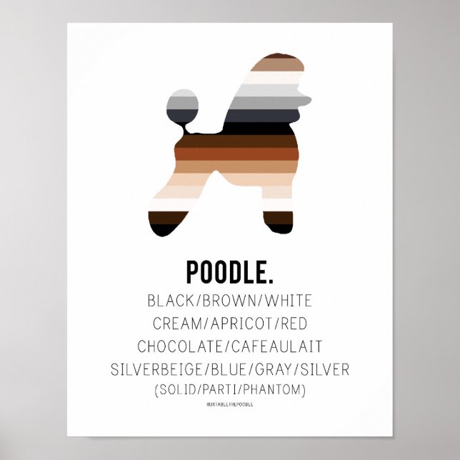 Poodle Colors Impressão por HUXSHOP (Frente)