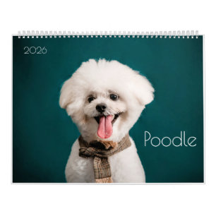 Poodle Cute Poodle Puppies 2024 Calendário
