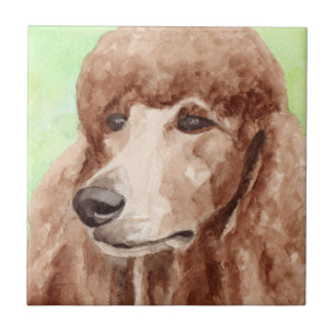 Poodle de Aquarela