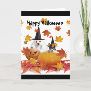 Poodle do Halloween e cartão de cão chihuahua