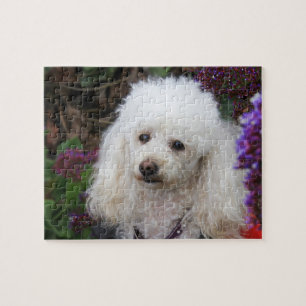 Poodle Dog quebra-cabeça