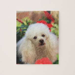Poodle Dog quebra-cabeça