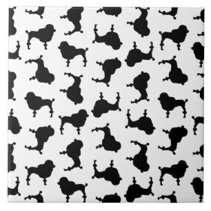 Poodle Dog Silhuettes COR DE FUNDO PERSONALIZADO