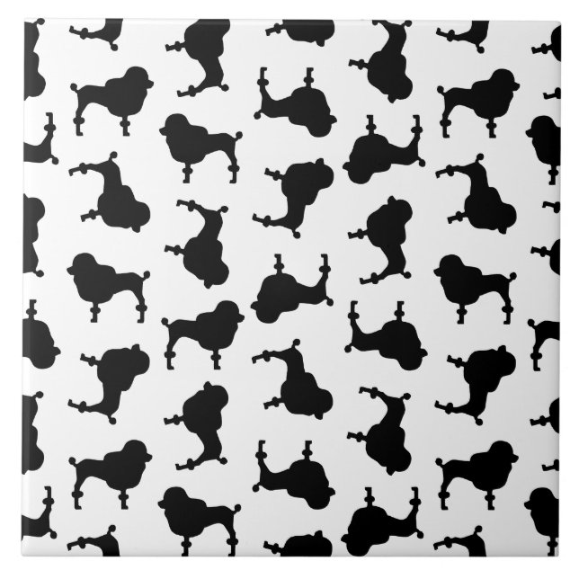 Poodle Dog Silhuettes COR DE FUNDO PERSONALIZADO (Frente)