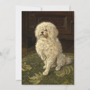 Poodle em um tapete verde   George L. Harrison