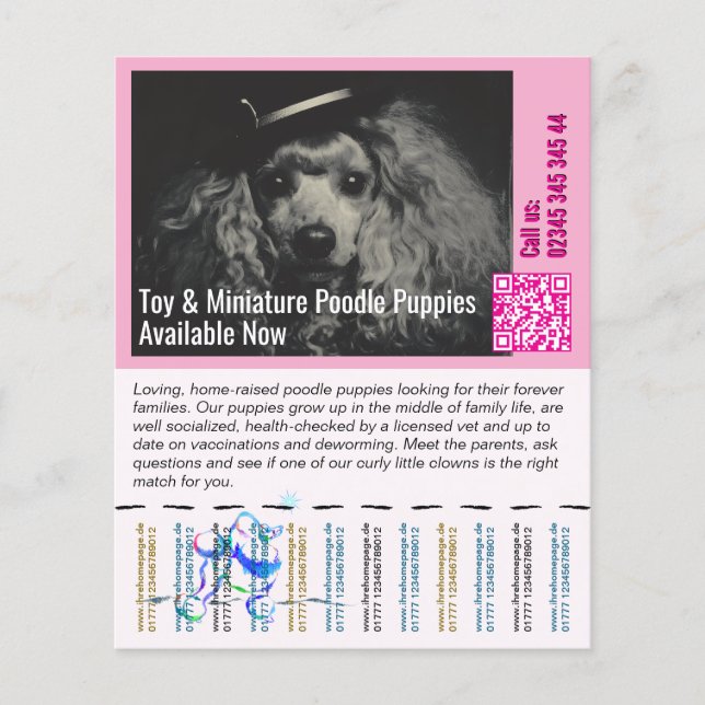 Poodle Flyer (Frente)