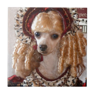 Poodle Love Dog Pose Vitoriana