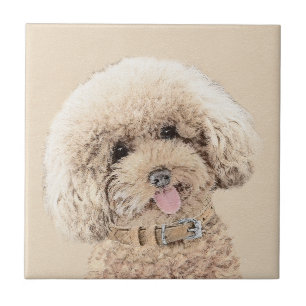 Poodle Miniature Toy Apricot Cream Brown Dog Art