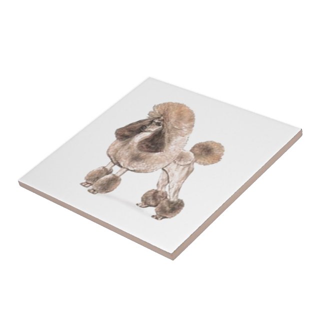 Poodle - Mostrar Casaco (Lateral)