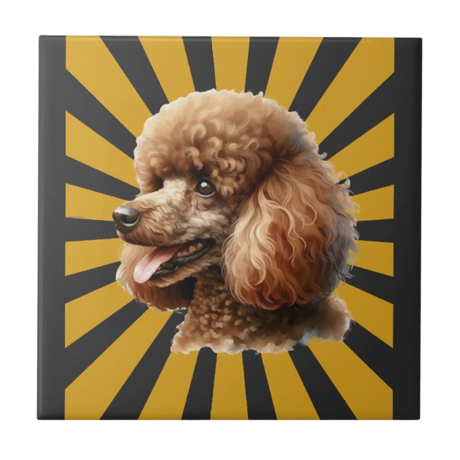 Poodle Padrão Marrom Retro Sunburst (Frente)