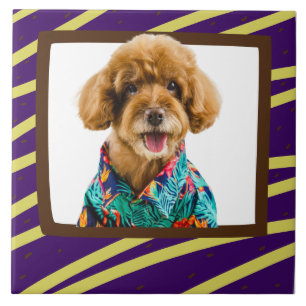Poodle personalizado fotográfico