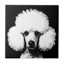 Poodle Pop Art Inspire Retro Chic