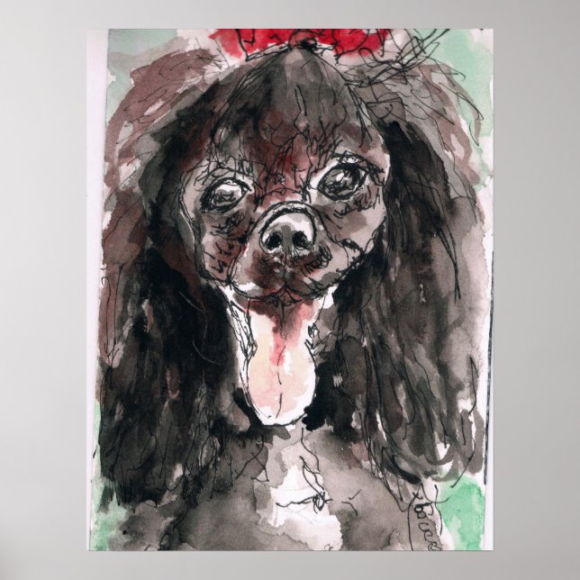 Poodle Poster (Frente)