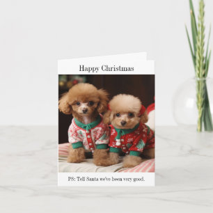 Poodle Puppies Cartão de Natal