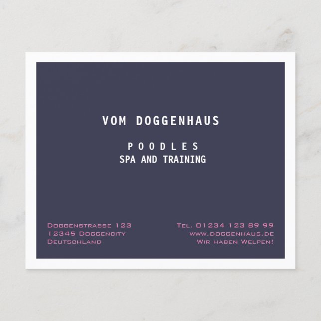 Poodle Spa moderna abstrato flyer (Verso)