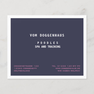 Poodle Spa moderna abstrato flyer