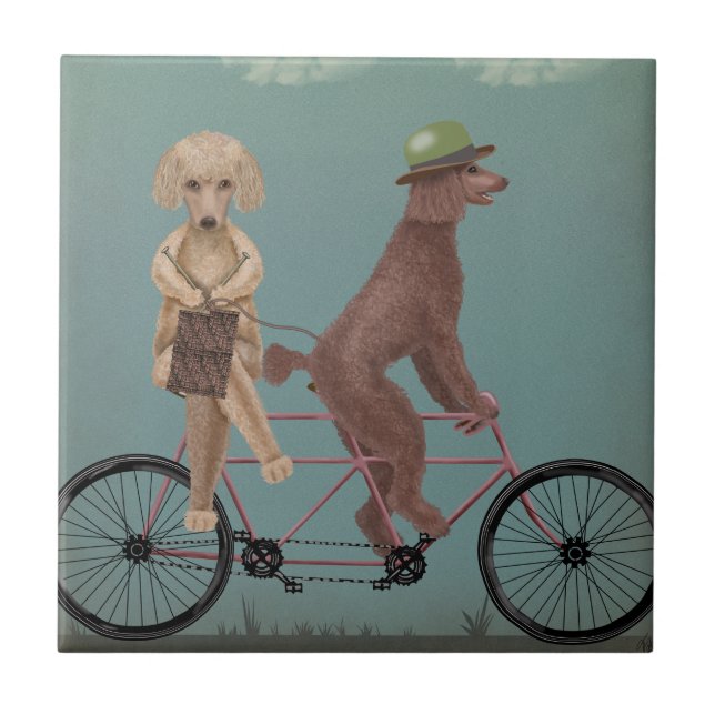 Poodle Tandem (Frente)