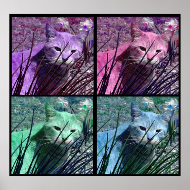 Pop Art Tiger Cat Poster (Frente)