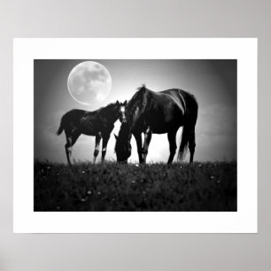 Pop de cavalos e luas Impressão de Poster de quadr