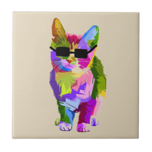 pop de gato Legal com óculos escuros