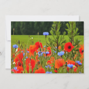 Poppies E Cornflower Arte Horizontal Realista