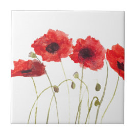 Poppies flores vermelhas aquarela natureza fofa fl