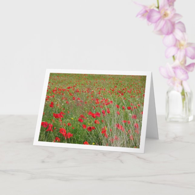 Poppies no Cartão Paisagem de Campo (Orquídea)