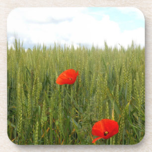 Poppies num Duro de campo de trigo Porta copos de