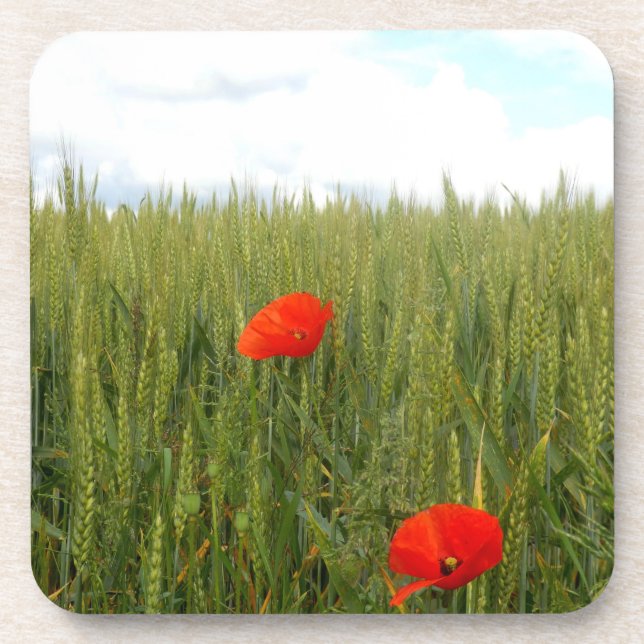 Poppies num Duro de campo de trigo Porta copos de  (Frente)
