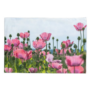Poppies Rosa