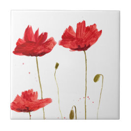 Poppies vermelhos papoila flores de aquarela russa