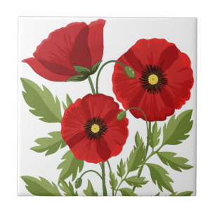Poppy alegre Flores de Verão