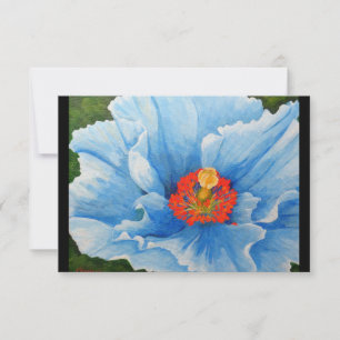 Poppy Azul Himalaia, 2015