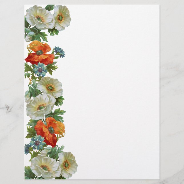 Poppy e Cornflower Floral Art Letterhead (Frente)