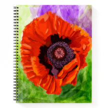 Poppy Flower