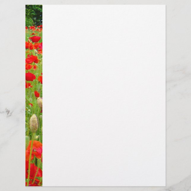 Poppy Flower Letterhead Poppies personalizadas (Frente)
